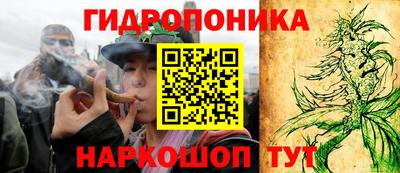 прущие грибы Пенза