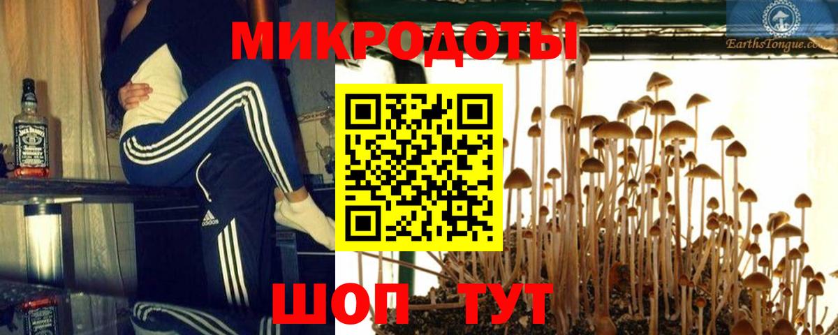 Октябрьский  где найти   Псилоцибиновые грибы Magic Shrooms  Вход с VPN  Галлюциногенные грибы MAGIC MUSHROOMS 