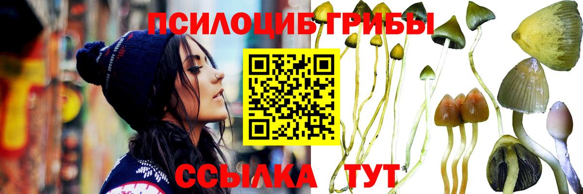 Галлюциногенные грибы Cubensis Октябрьский